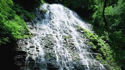 高精度电子高性能